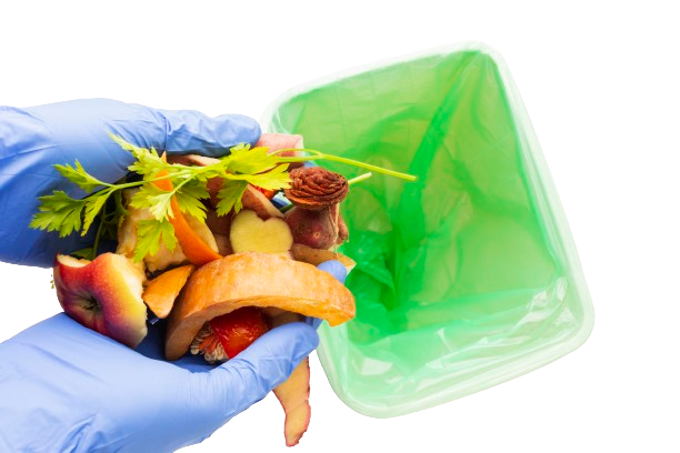 Collecte des déchets alimentaires dans les cantines